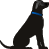 Go fetch, Lycos