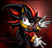 shadow_the_hedgehog.jpg