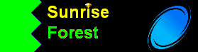 Sunrise Forest